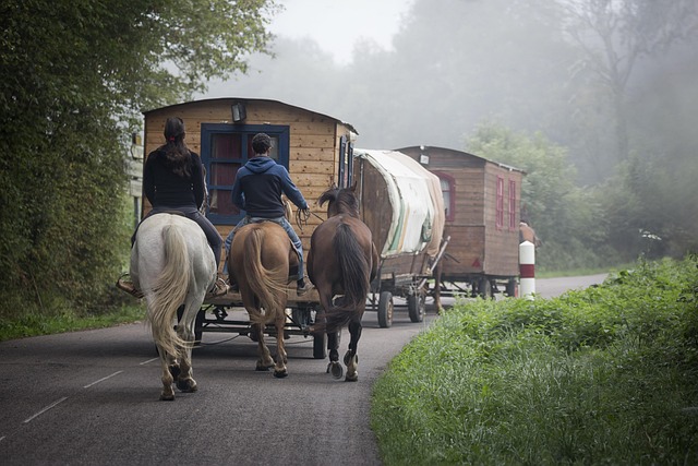Select Trailers
