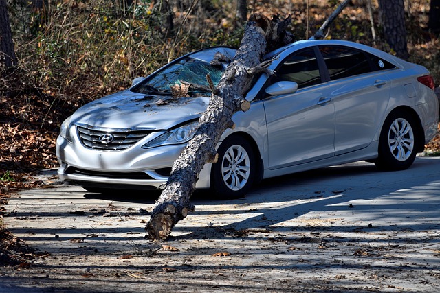 Select Vehicle History Reports