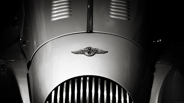Select Vehicle History Reports