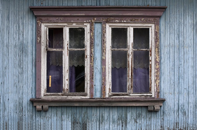 Select Window Tinting