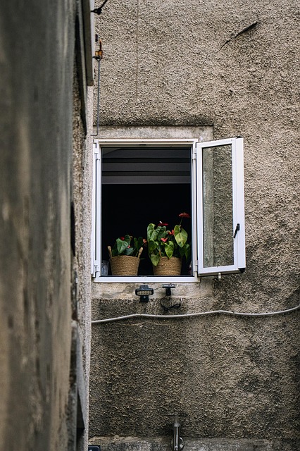 Select Window Tinting