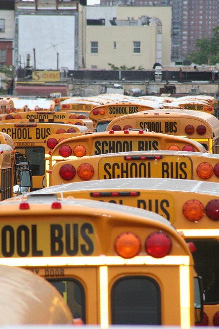 Select Buses