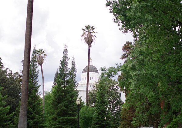 select-california-taxes-640x480-66813933.jpeg