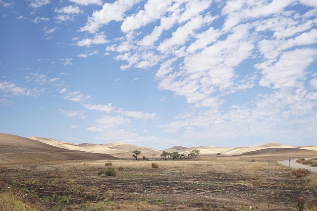 Select California Taxes