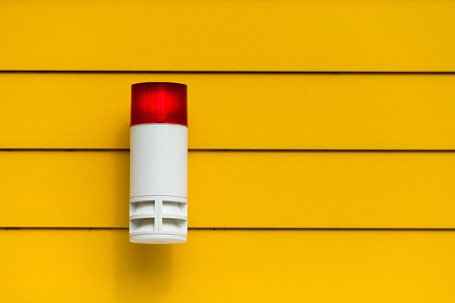 Select Car Alarms