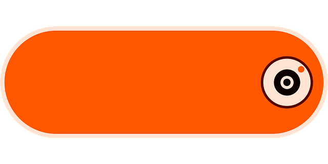 Select Dash Cams