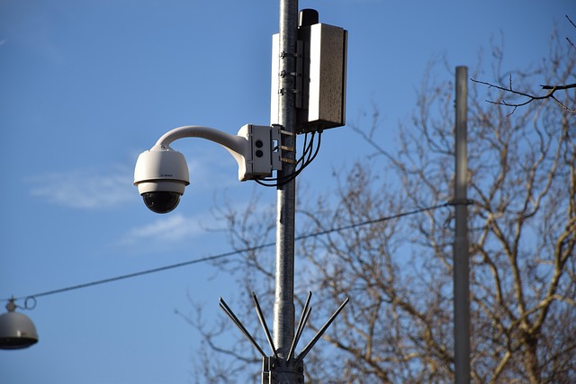 Select Long-Lasting Dash Cams for Continuous Peace of Mind