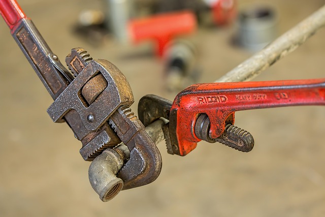 Select Frame Repair