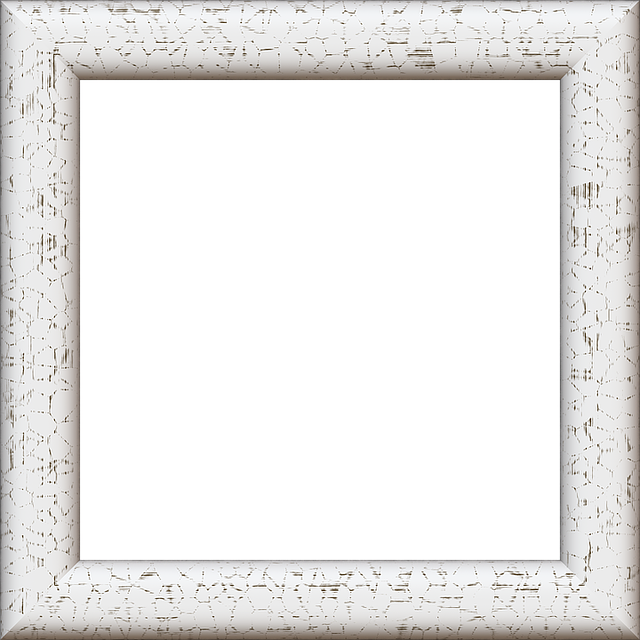 Select Frame Repair