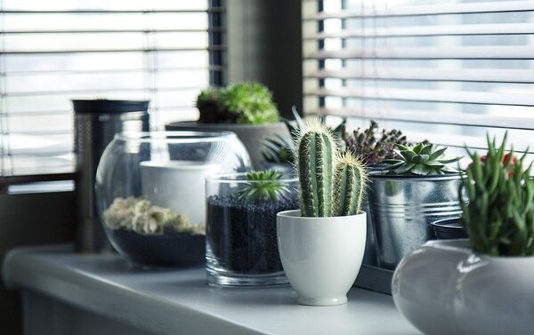 select-interior-mods-640x480-51060644.jpeg