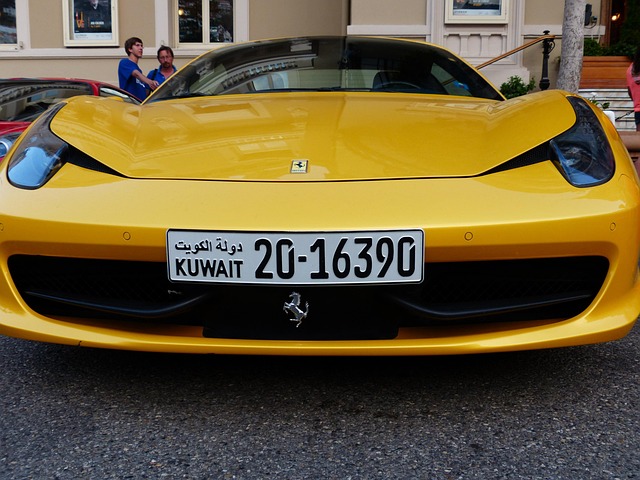 Select License Plate Privacy