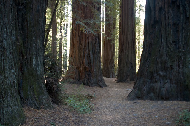 select-moving-to-california-640x480-34146434.jpeg