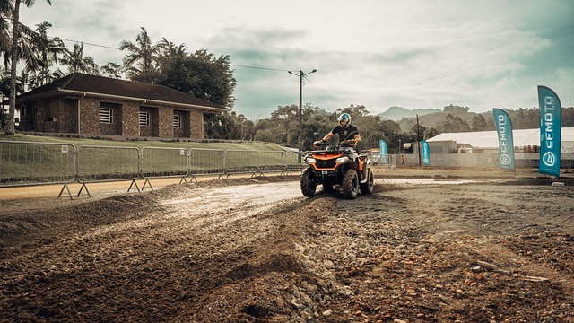 select-off-road-vehicles-640x480-82439047.jpeg