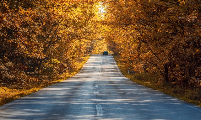 Select Off-Roading Adventures