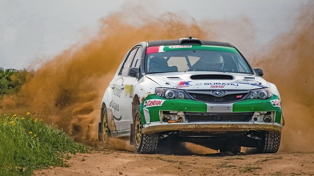 Select Rally Racing