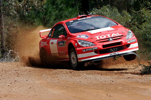 Select Rally Racing