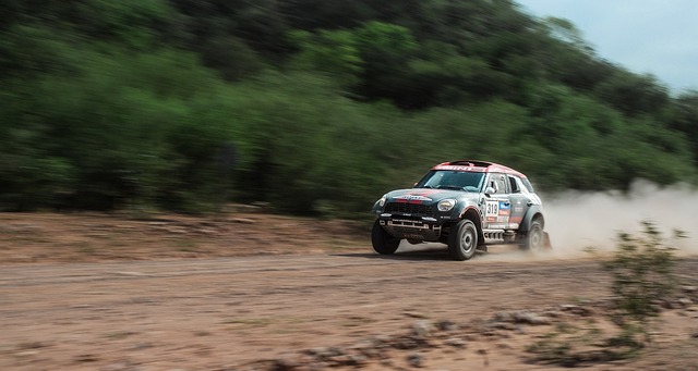 Select Rally Racing