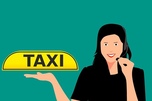 Select Ride-Hailing Services