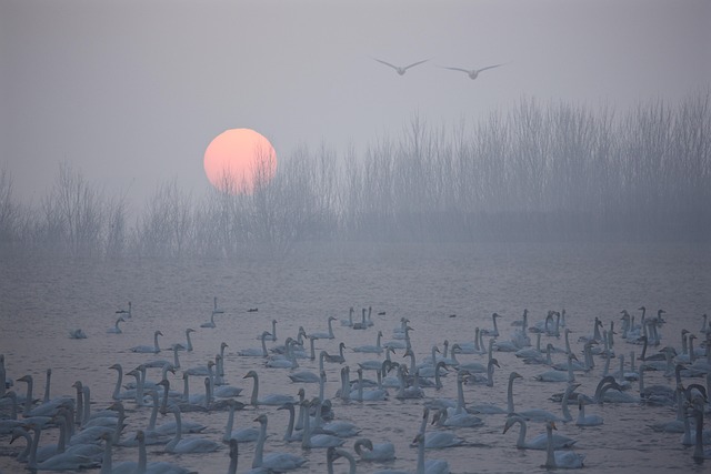 Select riverside ca vin inspector