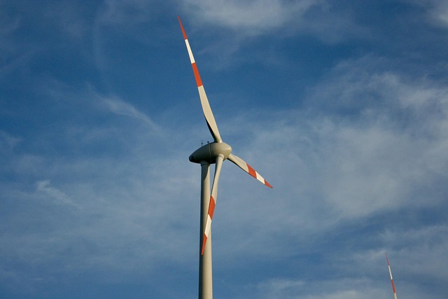 Select Sustainable Vehicles