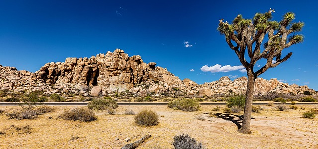 Select Travel to California