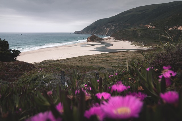 select-travel-to-california-640x480-8895264.jpeg