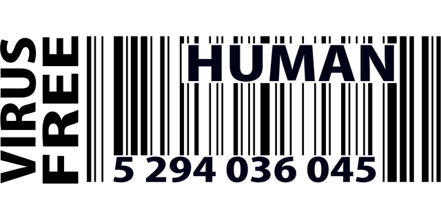 Select Vehicle Registration
