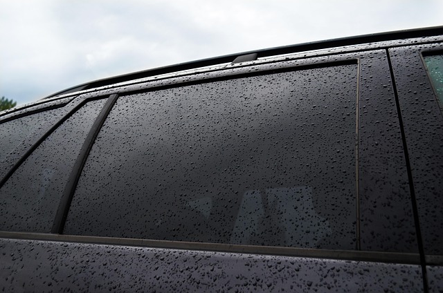 Select Window Tinting