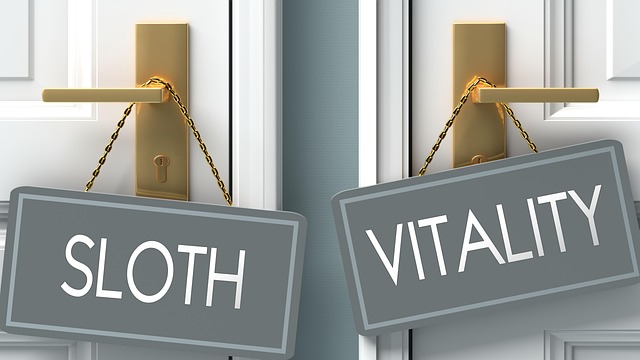 Select Buses