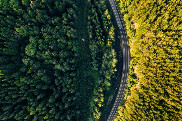 Select Car Photography