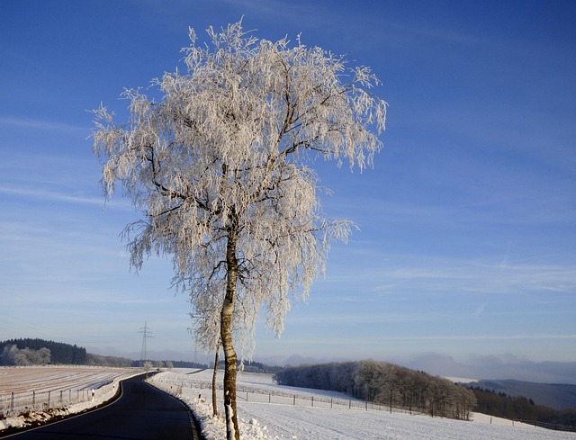 Reduce Backpressure: Optimize Performance with Cold Air Intakes