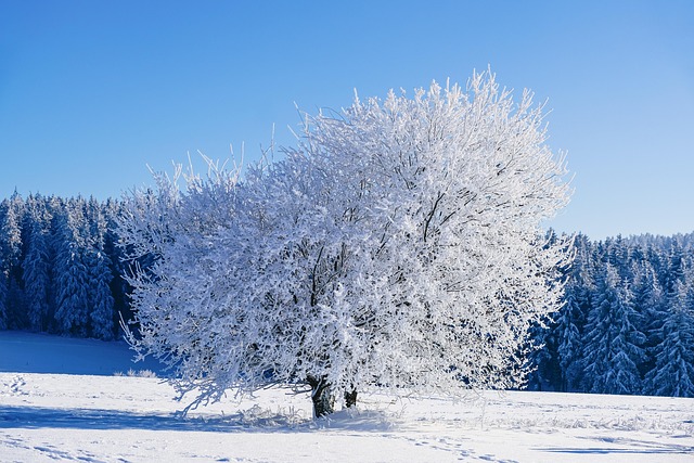 Boost Power Today: Cold Air Intakes for Optimal Engine Performance