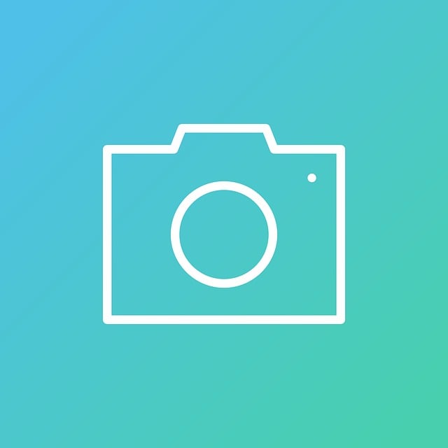 Select Dash Cams