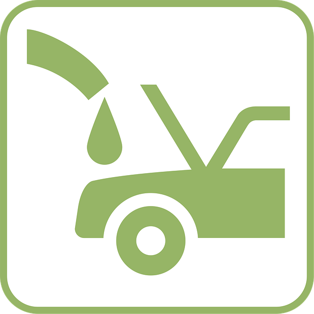 Select Gasoline Vehicles