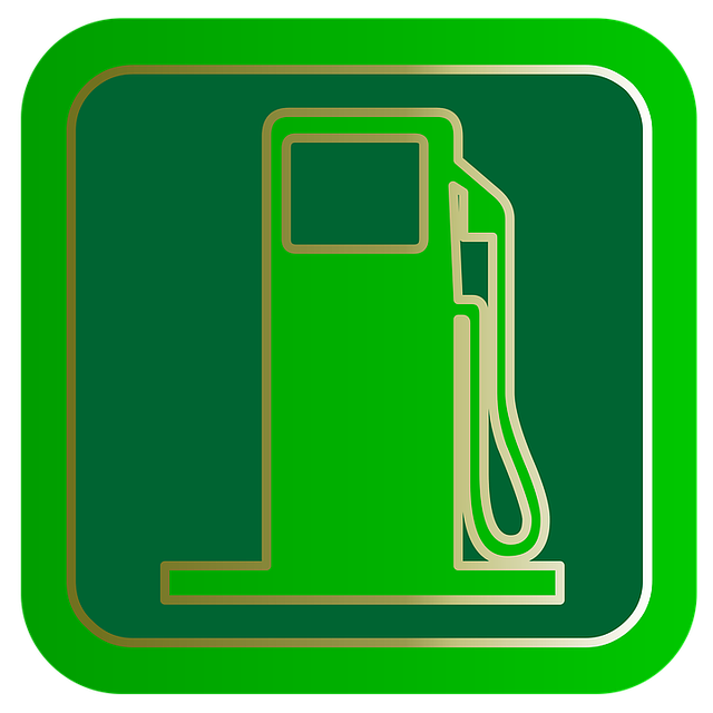 Select Gasoline Vehicles