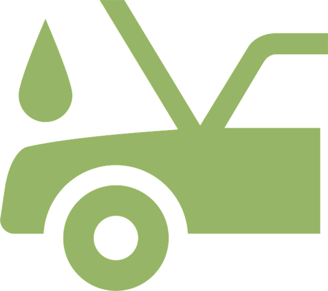 Select Gasoline Vehicles