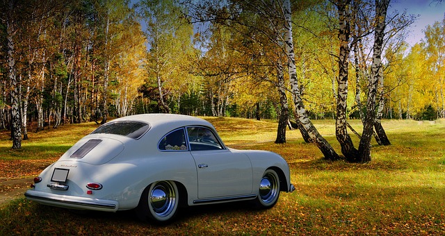 Select German Cars