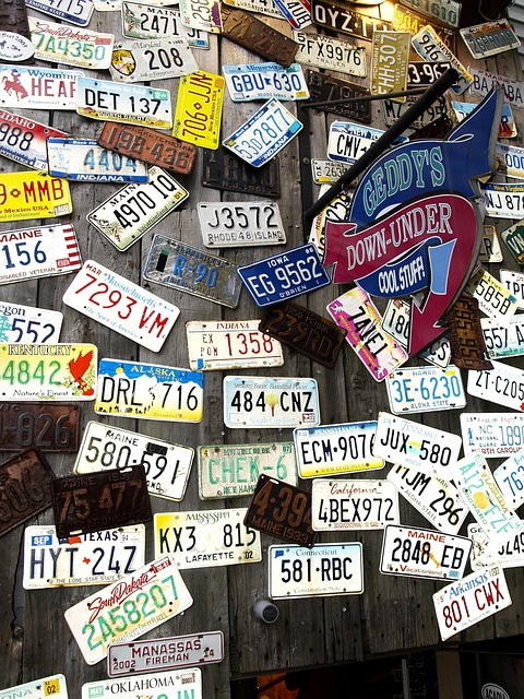 Select License Plate Privacy