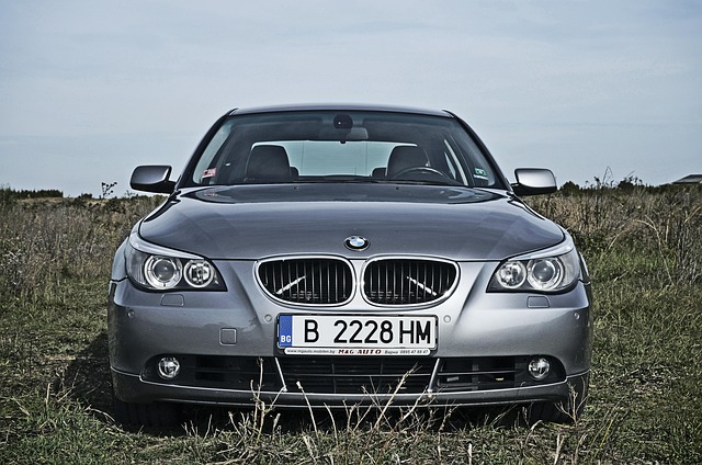 Select License Plate Privacy