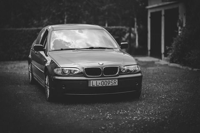 Select License Plate Privacy