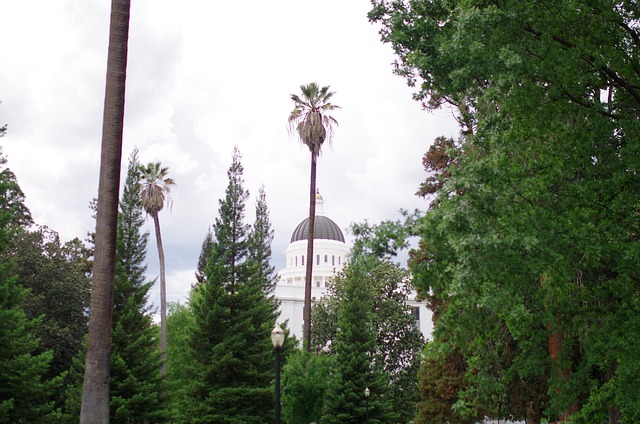 select-moving-to-california-640x480-66058953.jpeg