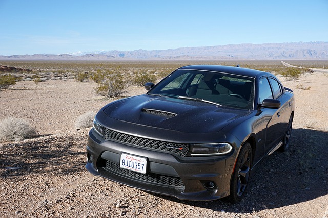 Select Muscle Cars
