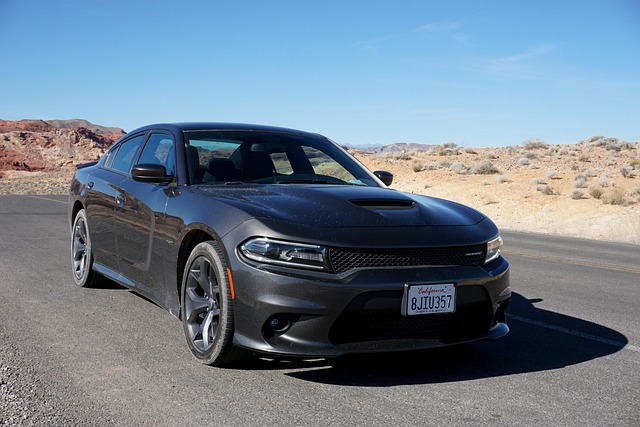 Select Muscle Cars