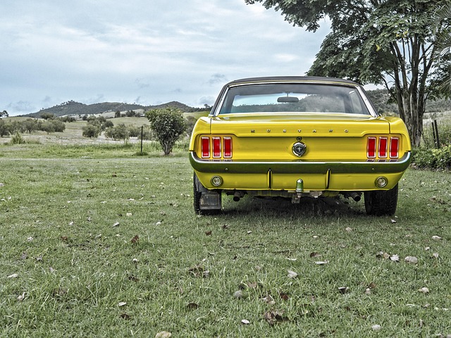 Select Muscle Cars