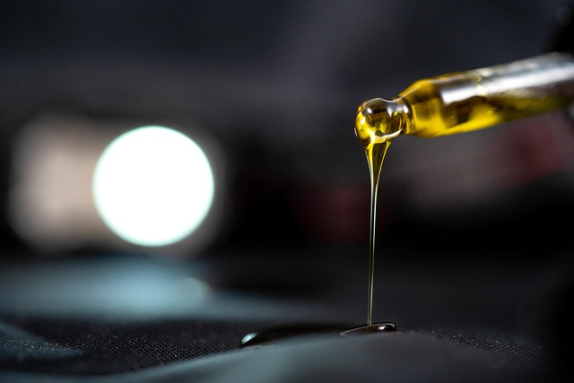 Select Oil Changes