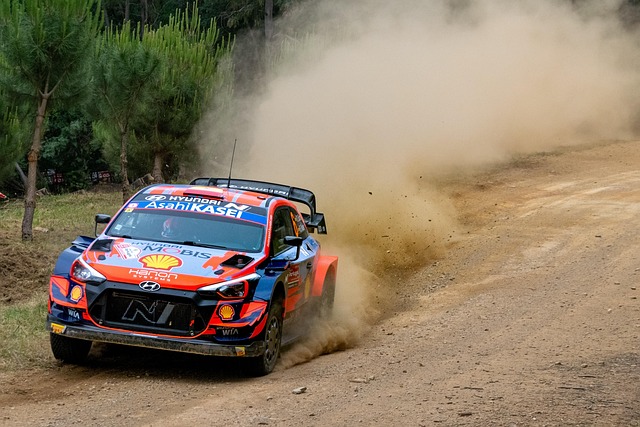 Select Rally Racing