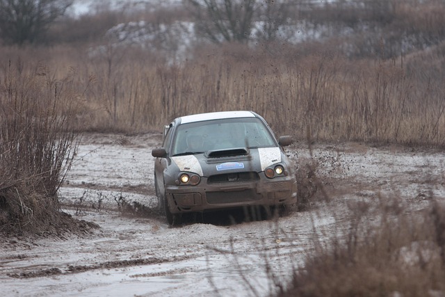 Select Rally Racing