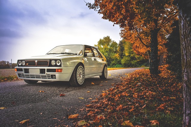 Select Rally Racing
