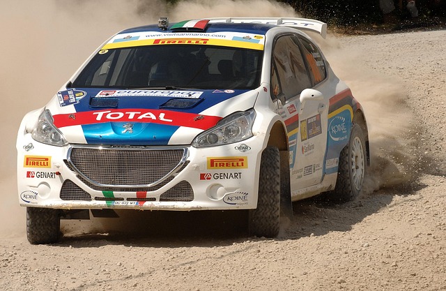 select-rally-racing-640x480-62126913.jpeg