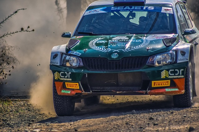 Select Rally Racing